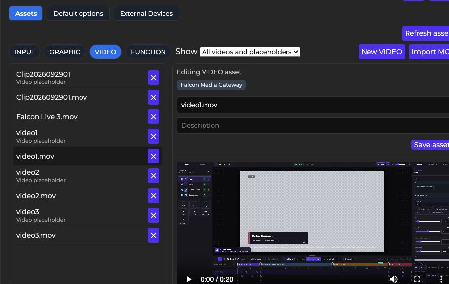 Asset Manager VIDEO library with separate video and placeholder entries, Show filter and a loaded proxy video preview